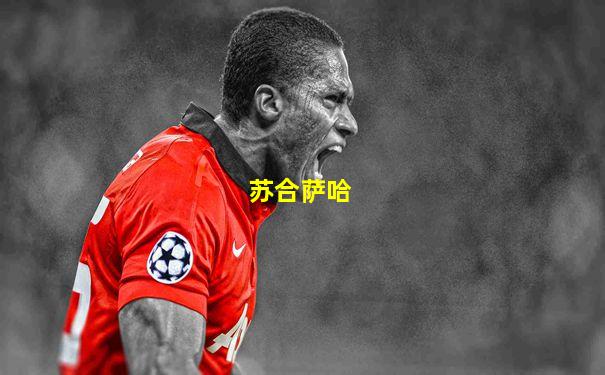 苏合萨哈